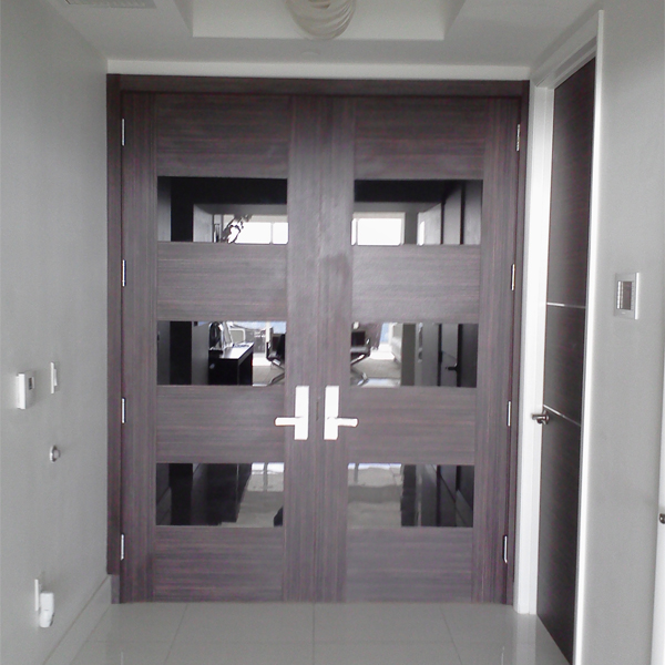 Modern Double Doors Black Window-2