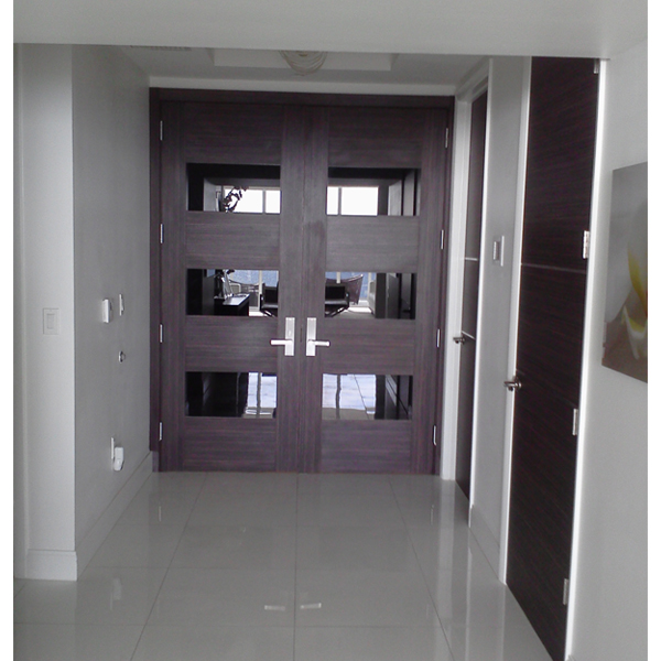 Modern Double Doors Black Window