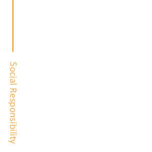 Going Green Social Responsibility